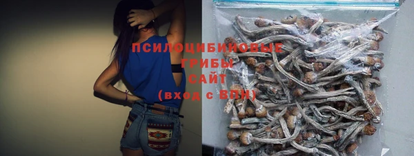 гашик Алексеевка