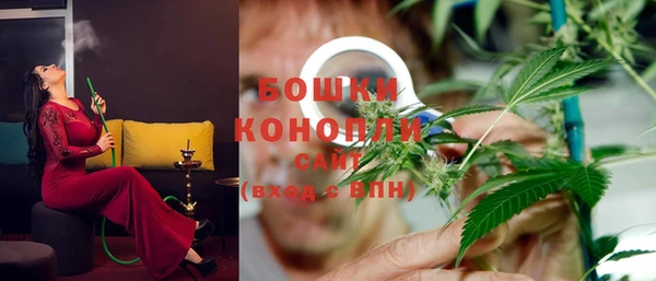 гашик Алексеевка