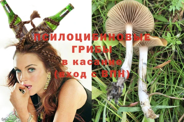 2c-b Алзамай